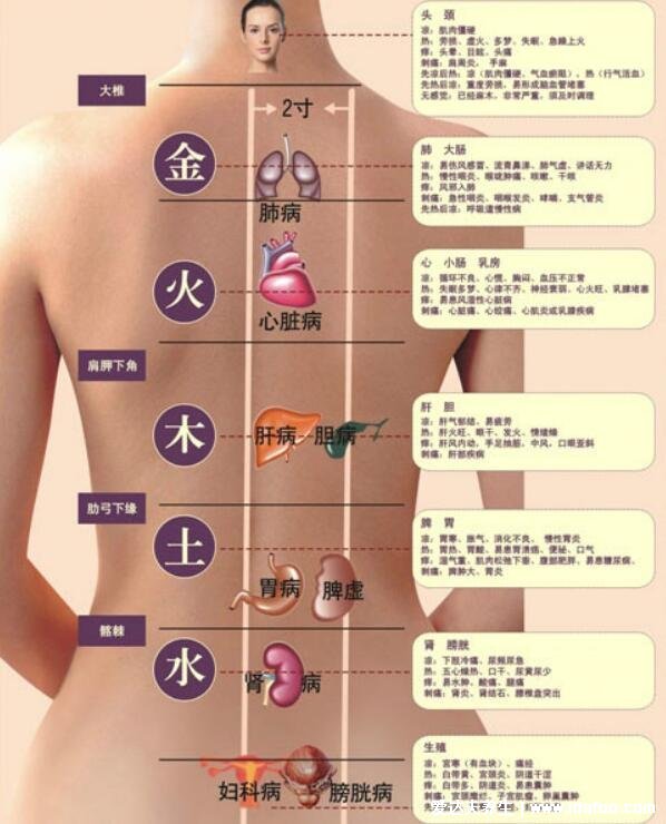 右后背痛病情對照圖，需警惕四種?。ㄅ愿椎蔑L濕）