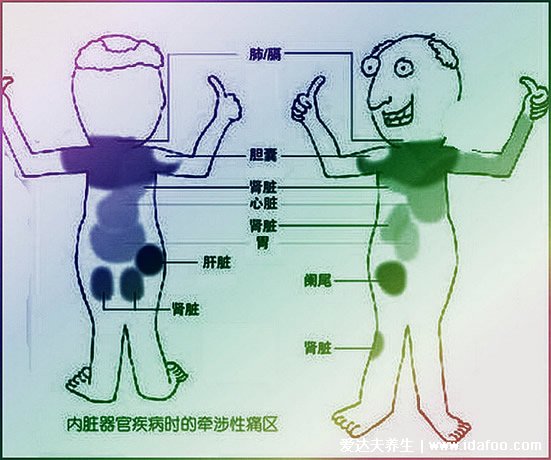 左后背疼圖片位置示意圖，可能是心臟出了問題