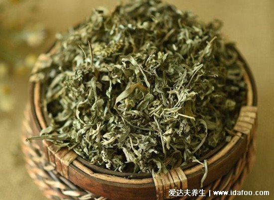 不同形態(tài)艾草長(zhǎng)什么樣子圖片，艾蒿和艾草有什么區(qū)別