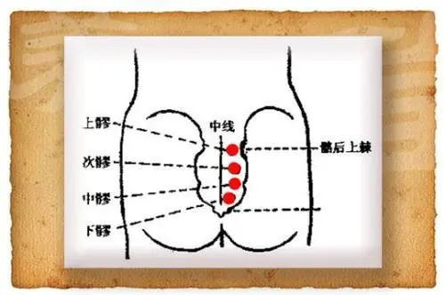 男性八髎的作用和功能主治，男性能補腎壯陽（附次髎定位技巧）