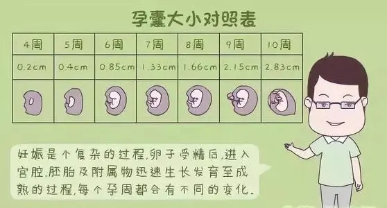 孕囊大小對(duì)照表看男女，懷孕10周小于2.83cm要小心流產(chǎn)