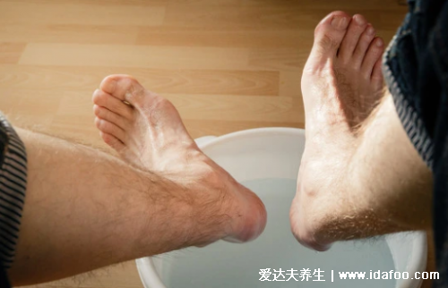 精立沛靈芝淫羊藿丹參膠囊，教你如何養(yǎng)腎補精