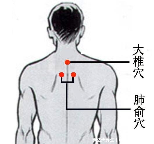 定位肺俞的準(zhǔn)確位置圖片圖解，在肩胛和第三胸椎的2個(gè)手指處