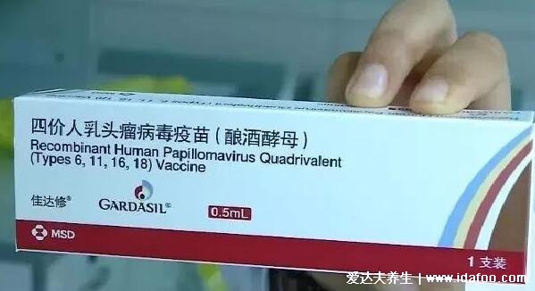 31歲千萬不要打?qū)m頸癌疫苗，31歲二價(jià)四價(jià)疫苗可以接種