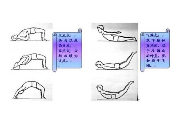腰突的最佳鍛煉方法圖解，這四個動作就很簡單（試試五點式）