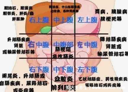 身體各部位疼痛對(duì)照?qǐng)D，包括腹部/腰部/背部疼(左上腹小心胃病)