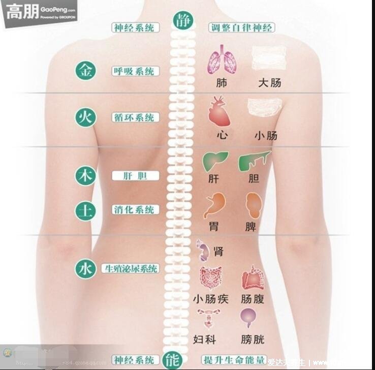 人體器官后背疼痛對應(yīng)器官圖，9處致命的心臟疼痛位置圖