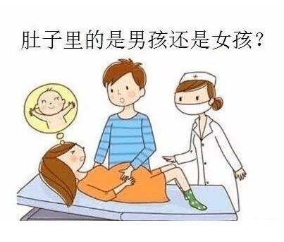 準確率100的生男生女公式，5個公式簡單好算(附孕囊清宮表方法)