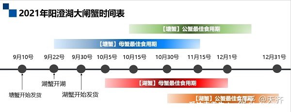 正宗陽澄湖大閘蟹多少錢一斤2021，四兩公三兩母150-160元/斤