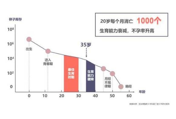 40歲試管成功率有多大，成功率較低可能30%(情況因人而異)