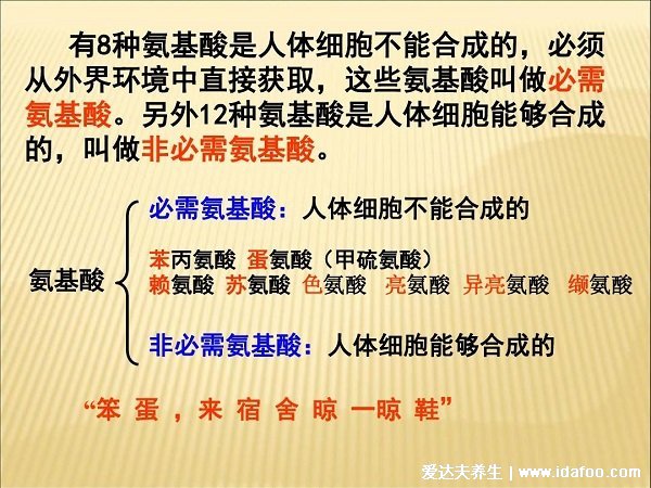 人體三大營養(yǎng)素是哪三種，糖類/脂肪/蛋白質(zhì)(附蛋白質(zhì)含量最高食物)