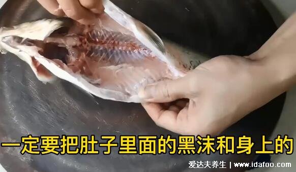 鯽魚湯怎么燉好喝又營養(yǎng)，超詳細(xì)鯽魚豆腐湯視頻做法(水要一次加夠)