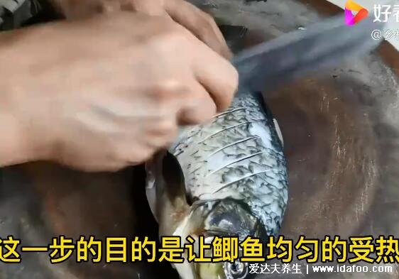 鯽魚湯怎么燉好喝又營養(yǎng)，超詳細(xì)鯽魚豆腐湯視頻做法(水要一次加夠)