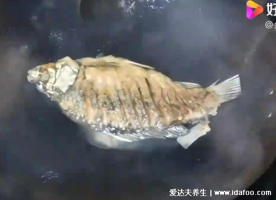 鯽魚湯怎么燉好喝又營養(yǎng)，超詳細(xì)鯽魚豆腐湯視頻做法(水要一次加夠)