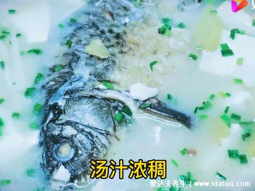 鯽魚湯怎么燉好喝又營養(yǎng)，超詳細(xì)鯽魚豆腐湯視頻做法(水要一次加夠)