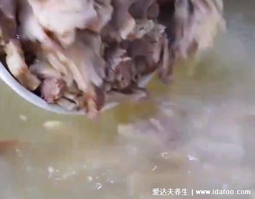 羊肉湯的做法及配料羊肉湯怎么熬，只需要生姜蔥等調(diào)料（附視頻做法）