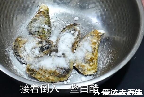 生蠔怎么保存最新鮮，可食鹽加水/濕布罩盆在冰箱冷藏(5種方法)