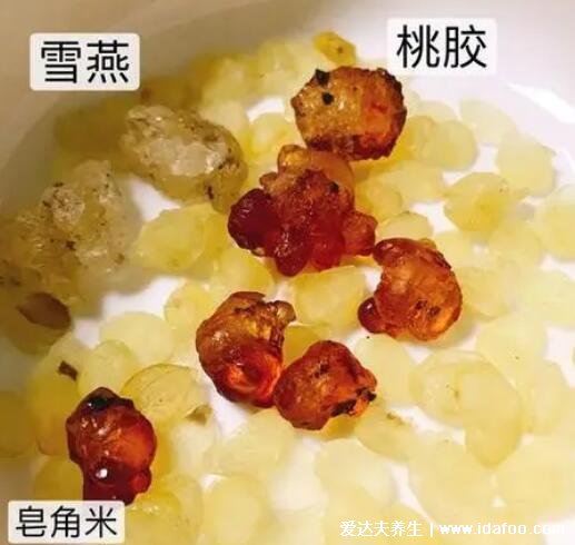 桃膠雪燕皂角米的功效與作用禁忌，美容養(yǎng)顏但孕婦不要吃(影響胎兒)