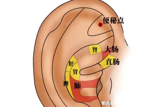 5個(gè)1分鐘快速拉出大便的方法，喝一勺植物油比開塞露還有效