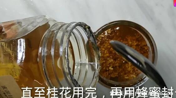 桂花蜜的做法，快看從桂花采摘后到加入蜂蜜的全部過程(附視頻步驟)