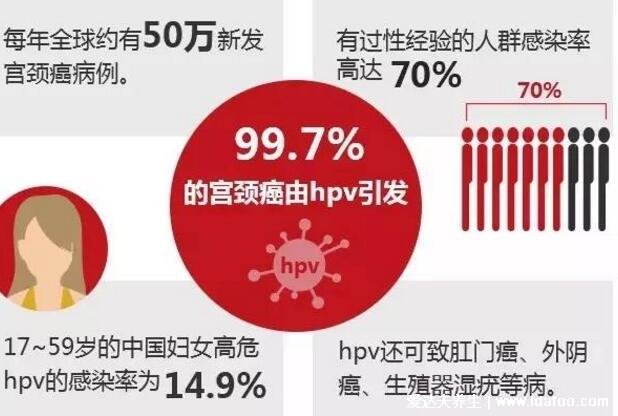 九價疫苗是什么意思，預(yù)防9種亞型HPV病毒(附二價四價九價價格一覽表)