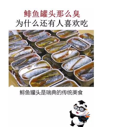 鯡魚罐頭為什么這么臭還有人吃，自然發(fā)酵產(chǎn)生臭味(是瑞典的傳統(tǒng)食物)