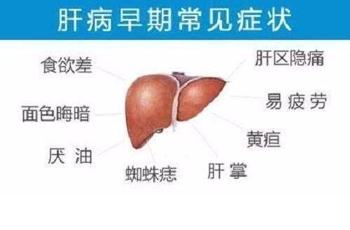 肝病早期可能有6個征兆，持續(xù)低熱/乏力/食欲減退是常見癥狀