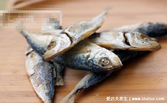 巴浪魚(yú)為什么那么便宜，蛋白質(zhì)豐富口感勝過(guò)雞肉但產(chǎn)量極大