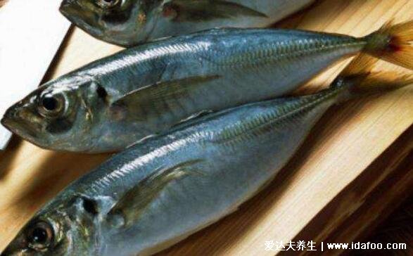 巴浪魚(yú)為什么那么便宜，蛋白質(zhì)豐富口感勝過(guò)雞肉但產(chǎn)量極大