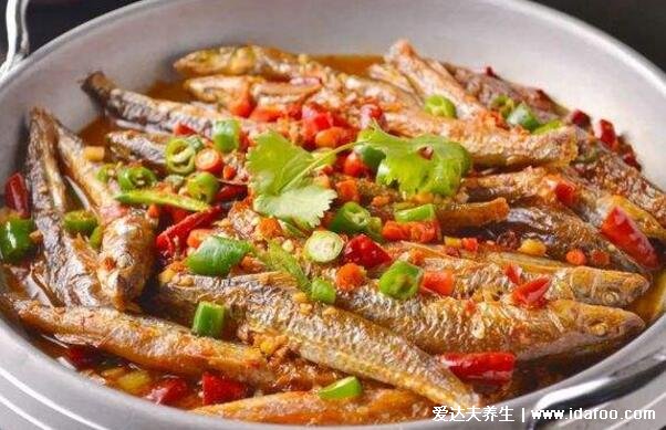 巴浪魚(yú)為什么那么便宜，蛋白質(zhì)豐富口感勝過(guò)雞肉但產(chǎn)量極大