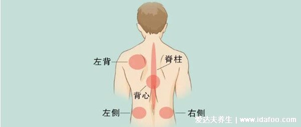 男女后背疼痛位置圖詳解，含左右后背疼痛對照圖(重視背疼原因)