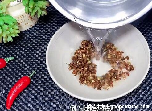 羊肉餡餃子配什么菜好，年夜飯?jiān)囋嚲虏损W附視頻(韭菜補(bǔ)腎溫陽(yáng))