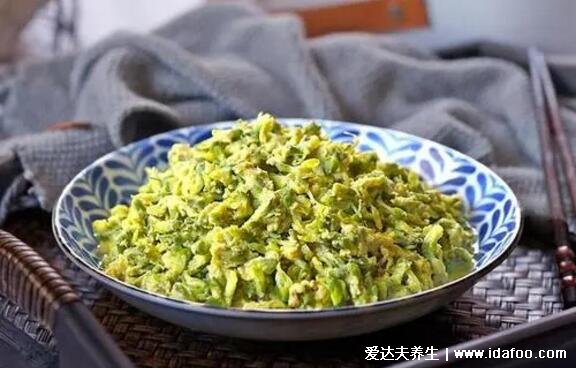 槐花對(duì)女性有哪些好處，3種吃法有不同的功效與作用(附禁忌)