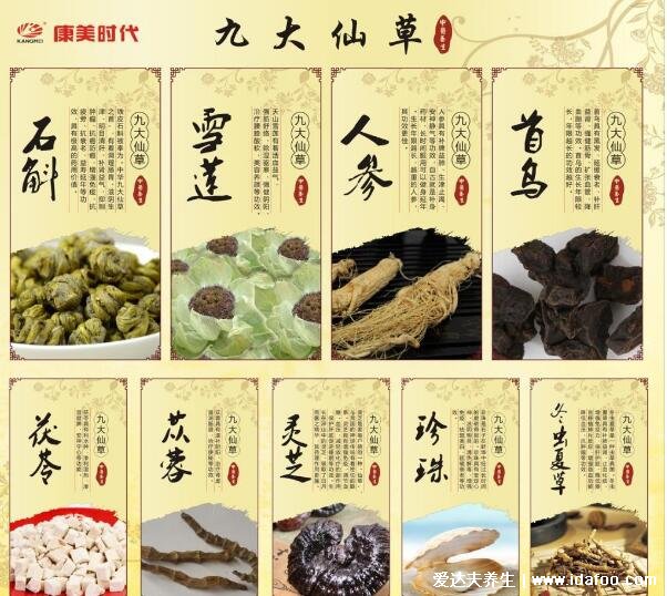 中華九大仙草排名順序圖，百年首烏上榜冬蟲(chóng)夏草只排第八