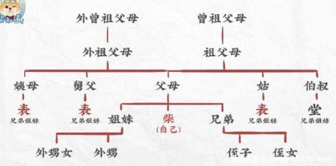 孩子輩分稱呼大全圖，教孩子家庭成員稱呼大全圖