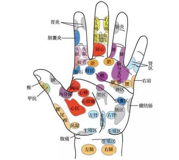 手部反射區(qū)圖解與疾病高清圖大全，手部6大經(jīng)絡(luò)清晰圖片