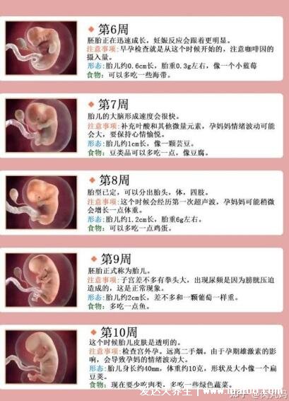 胎兒發(fā)育過程圖1至10個月，每個月寶寶變化圖解(18到20周胎動)