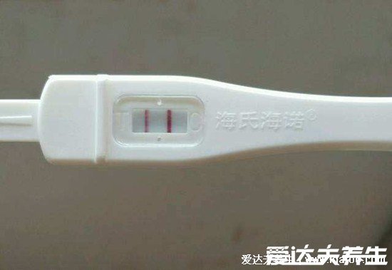 懷孕hcg正常值對(duì)照表，超過(guò)10mIU/mL是懷孕(不同階段孕期數(shù)值有變化)