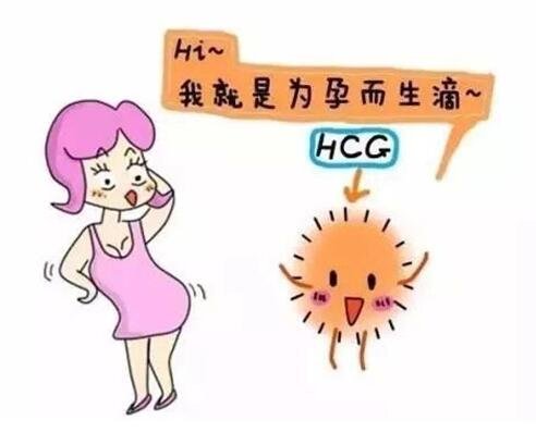 懷孕hcg正常值對(duì)照表，超過(guò)10mIU/mL是懷孕(不同階段孕期數(shù)值有變化)