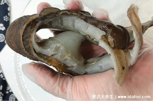 裙邊是什么食物哪個部位圖片，甲魚殼邊緣上的一圈軟肉