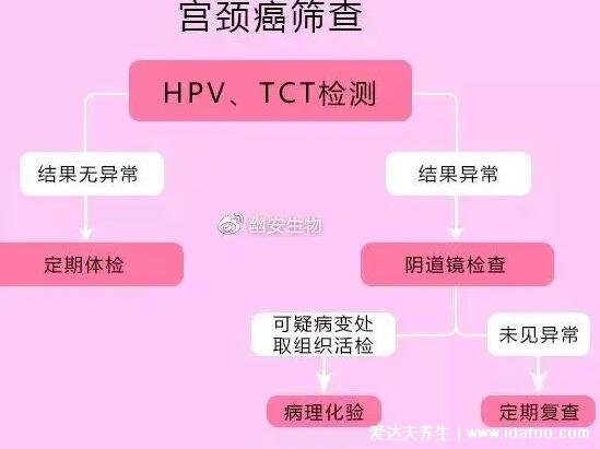 不要輕易做HPV和TCT檢查，不符合要求不能做(不是一定要都做)