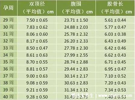 雙頂徑是什么意思，可看孕周/胎兒發(fā)育情況/體重(有圖表公式)