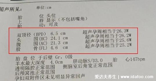 雙頂徑是什么意思，可看孕周/胎兒發(fā)育情況/體重(有圖表公式)