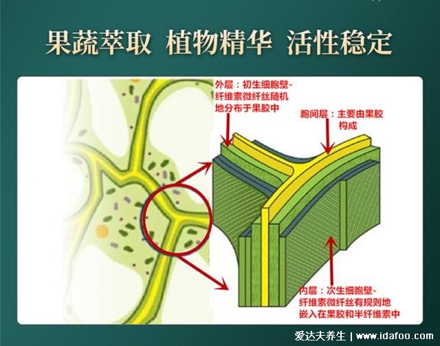 超微化果蔬膳食纖維常青通中國(guó)發(fā)明專利