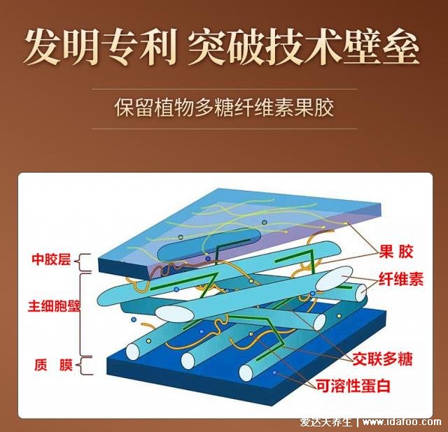 超微化果蔬膳食纖維常青通中國(guó)發(fā)明專利