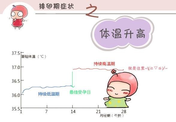 怎么看內(nèi)褲知道排卵了，內(nèi)褲總是濕濕的有蛋清樣白帶