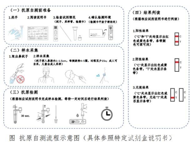 抗原檢測試劑盒怎么用，手把手教你檢測10分鐘完成(具體步驟)