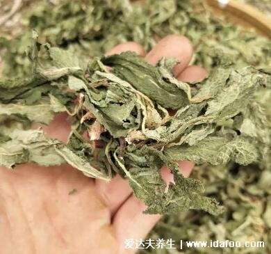 蛤蟆草泡水喝的功效與作用，外用治濕疹/內(nèi)服防感冒祛風(fēng)濕(圖片)