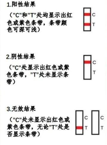 抗原檢測兩條杠一定是陽性嗎，c區(qū)顯t區(qū)不論深淺陽性（注意時間）