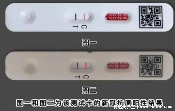 抗原檢測兩條杠什么意思，是陽性但不意味確診(需核酸確認)